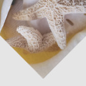 Zeester en Zand Dollars Romige Witte Kust Tissuepapier (Detail)