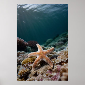 Zeester in de Diepe Zee Poster
