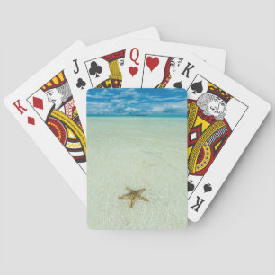 Zeester in ondiep water, Palau Pokerkaarten