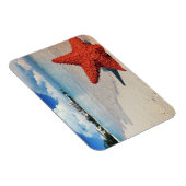 Zeester, Nassau, Bahama's Magneet (Rechterzijde)