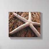 Zeester op Driftwood Canvas Afdruk (Voorkant)