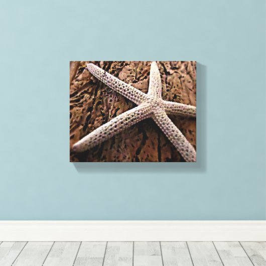 Zeester op Driftwood Canvas Afdruk (Insitu (Houten vloer))