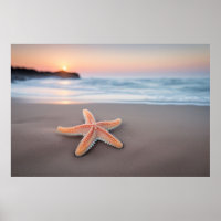 Zeester op een strand