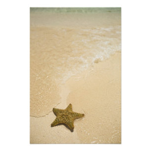 Zeester op zandstrand, Gibbs Cay Land Foto Afdruk