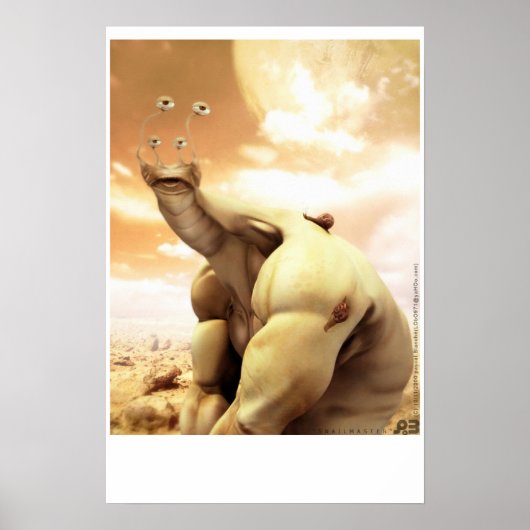 zeester poster (Voorkant)