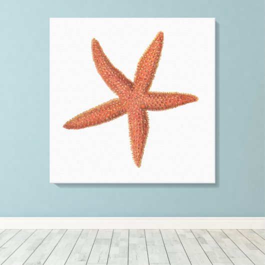Zeester - Sherman Denton Fish Lithograph Canvas Afdruk (Insitu (Houten vloer))