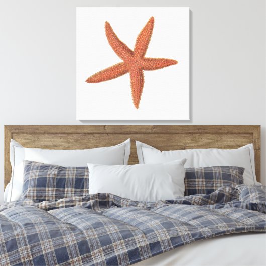 Zeester - Sherman Denton Fish Lithograph Canvas Afdruk (Insitu (Slaapkamer))