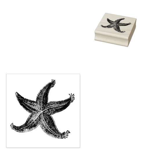 Zeesterren  geëtst Zee Sterren Oceaan thema Rubberstempel (Gestempeld)
