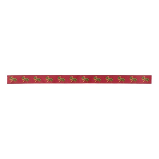 Zeesterren in Holly Christmas Red Ribbon Lint (Voorkant)