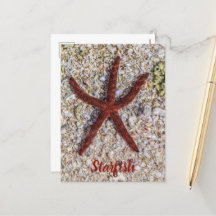 Zeesterren Oceaan  Strand Retro Souvenir