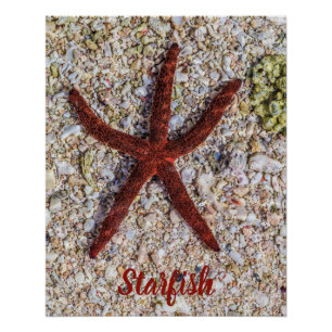 Zeesterren Oceaan Strand Retro Souvenir Perfect Poster
