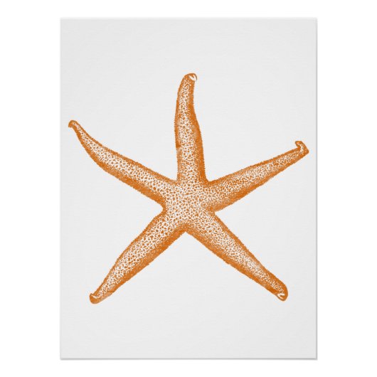 Zeesterren Perfect Poster (Voorkant)