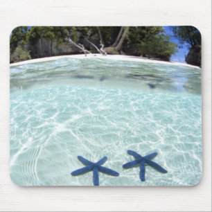 Zeesterren, Rock Islands, Palau 2 Muismat