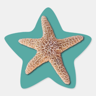 Zeesterren Sticker - Turquoise