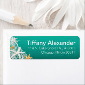 Zeesterrennetten strand | Aqua Etiket (Insitu)