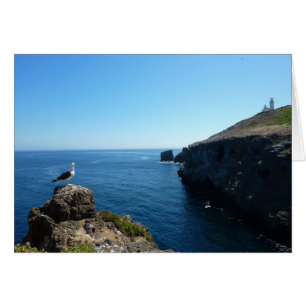 Zeevogel op Anacapa Island bij Channel Islands