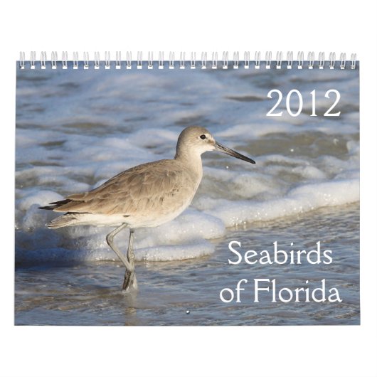 Zeevogels in Florida 2012 Kalender (Hoes)