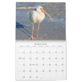 Zeevogels in Florida 2012 Kalender (Mar 2026)