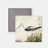 zeevogels, zeevogels magneet (Voorkant / Achterkant)