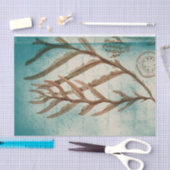 zeewier en zanddollar tissuepapier (Craft)