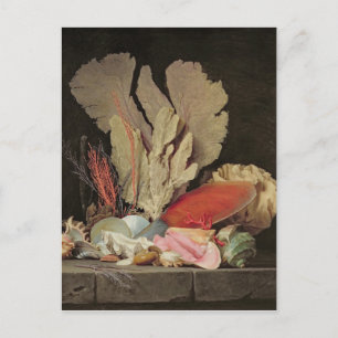 Zeewier, lithophyten en zeeshells briefkaart