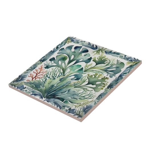 Zeewier Tegeltje (Zijkant)