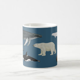 Zeezoogdieren mok / kop