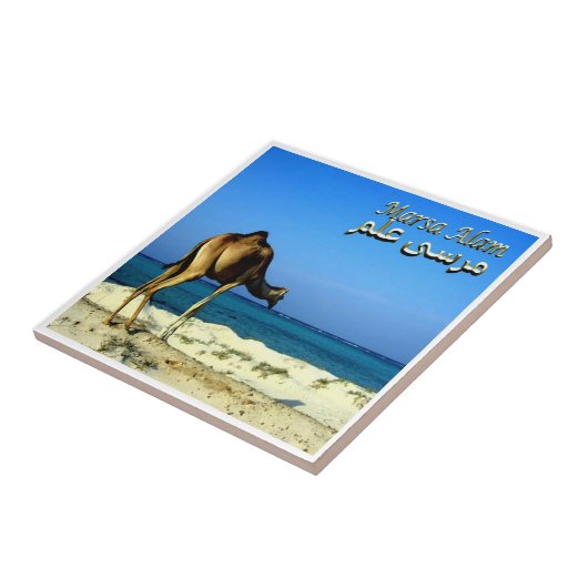 zEG047 MARSA ALAM, Rood Zee, Egypte, Tegeltje (Zijkant)