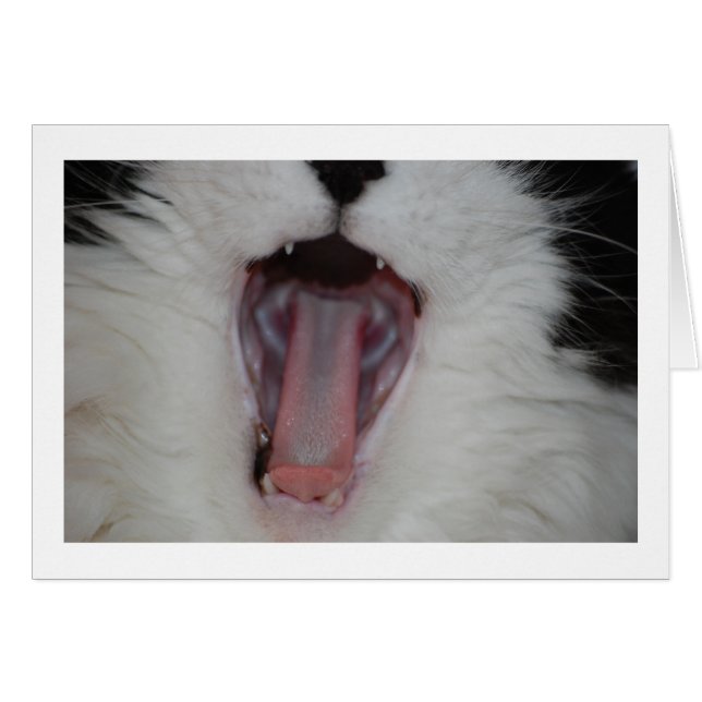 Zeg Ah/Dentist Humor (Voorkant Horizontaal)