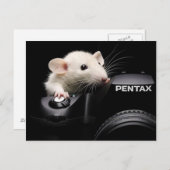 Zeg Cheese! Briefkaart (Voorkant / Achterkant)