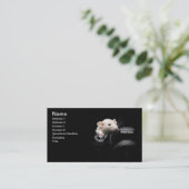 Zeg Cheese! Visitekaartje (Staand voorkant)