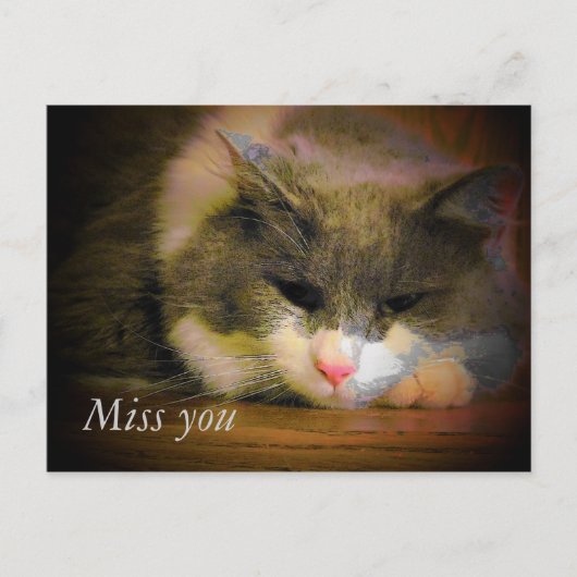 Zeg dat ik je mis met deze Schattigee trieste kat Briefkaart (Voorkant)