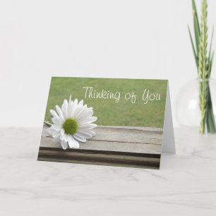 Zeg het in Daisies Kaart