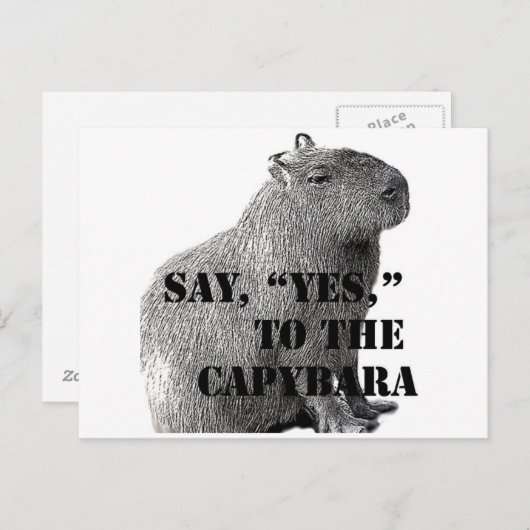 Zeg: "Ja" tegen het Capybara Briefkaart (Voorkant / Achterkant)