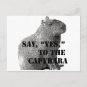 Zeg: "Ja" tegen het Capybara Briefkaart (Voorkant)