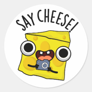 Zeg kaas grappige fotograaf Pun Ronde Sticker