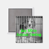 "Zeg nee tegen dierproeven" Beagle magnet Magneet (Voorkant / Achterkant)