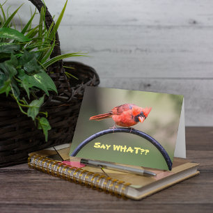 Zeg wat? Notitiekaartje Kaart