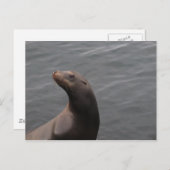 Zegel - CA in Montery Bay Briefkaart (Voorkant / Achterkant)