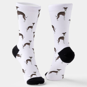 Zegel En Witte Italiaanse Windhond Cute Hond Patro Sokken