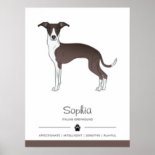 Zegel en witte Italiaanse windhond met aangepaste  Poster