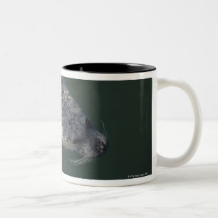 Zegelzwemmen onder water 2 tweekleurige koffiemok