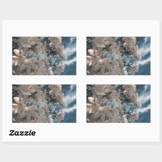 Zegen Stickers