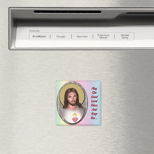 Zegeningen magneet (Insitu (Vaatwasser))