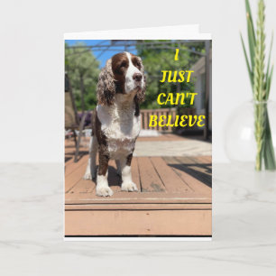 ZEGGEN DE VREEMDE HONDEN HAPPY 50th BIRTHDAY! Kaar Kaart