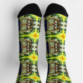 Zegt om het hele idee te betrekken sokken (Top)