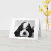 ZEGT PUPPY: "ZEG HET NIET ZO OVER DE HILL?" KAART (Gele Bloem)