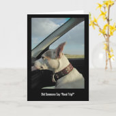 Zei iemand "road trip"? kaart (Gele Bloem)