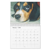 Zei je konijn? Beagle Calendar Kalender (Feb 2026)