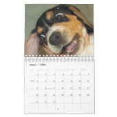 Zei je konijn? Beagle Calendar Kalender (Mar 2026)